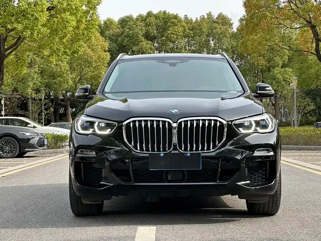 BMW X5 (Import) — фото 2