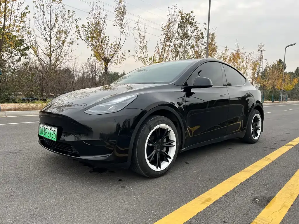 Tesla Model Y — фото 1