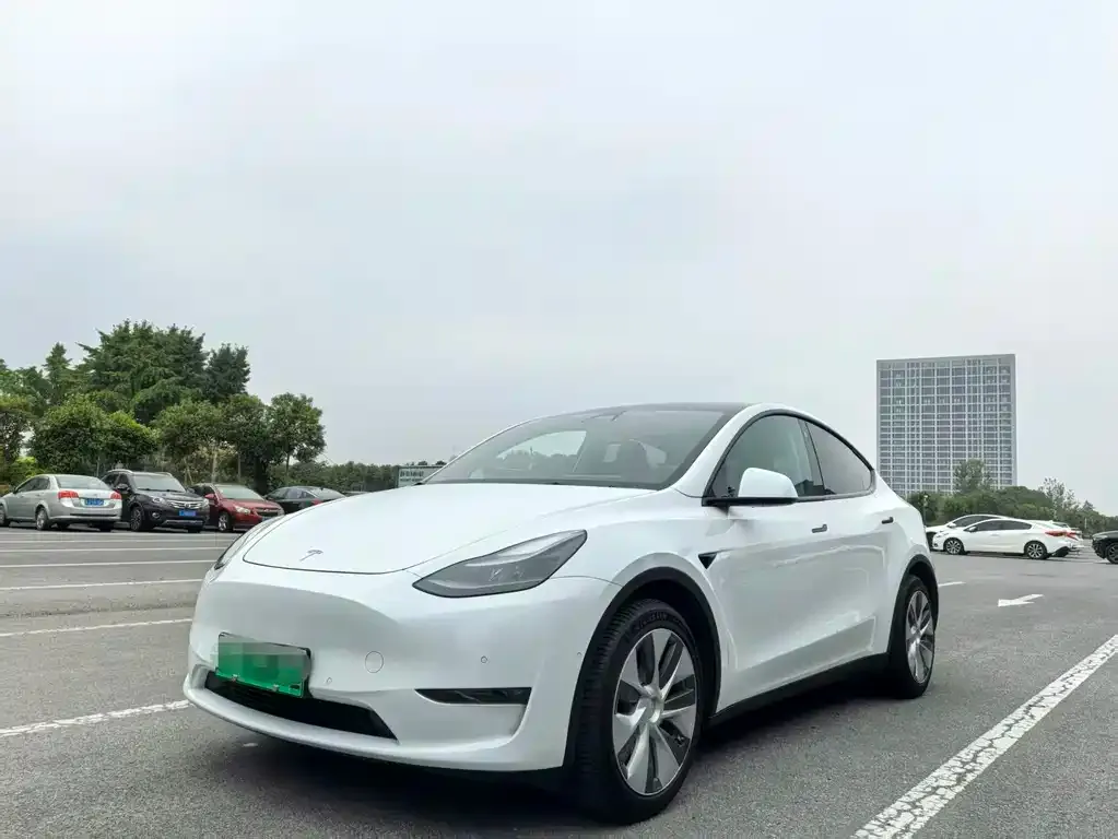 Tesla Model Y — фото 1