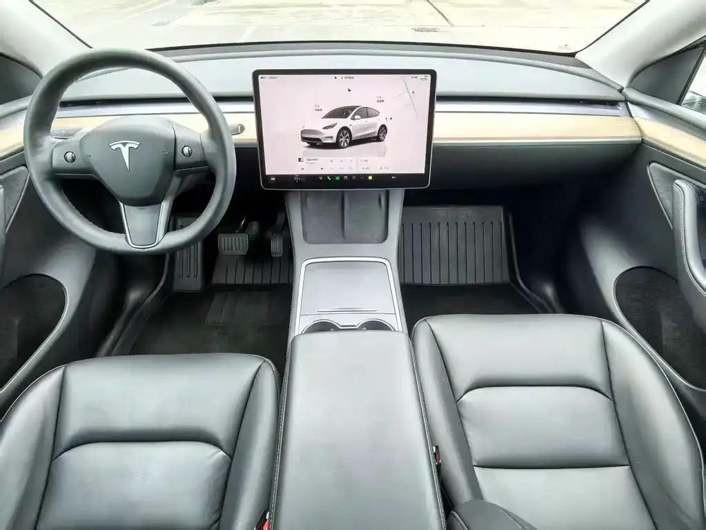 Tesla Model Y — фото 10