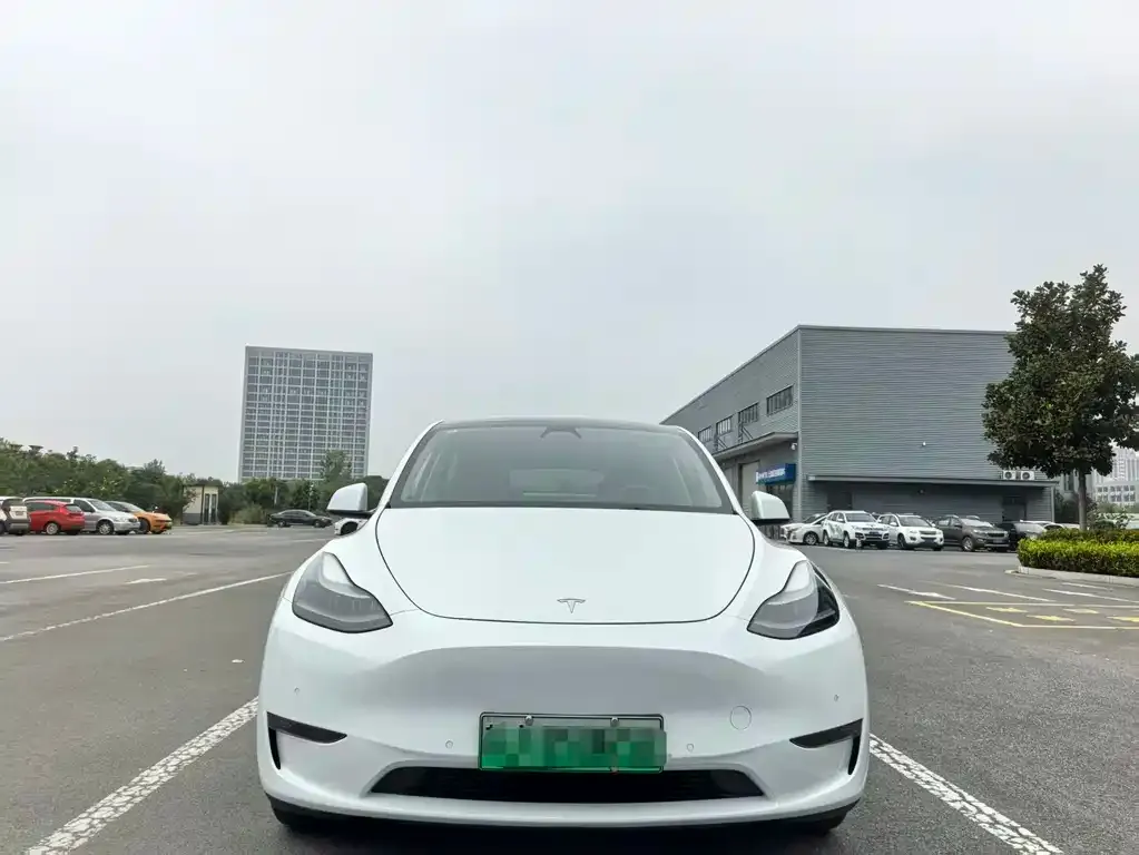 Tesla Model Y — фото 2