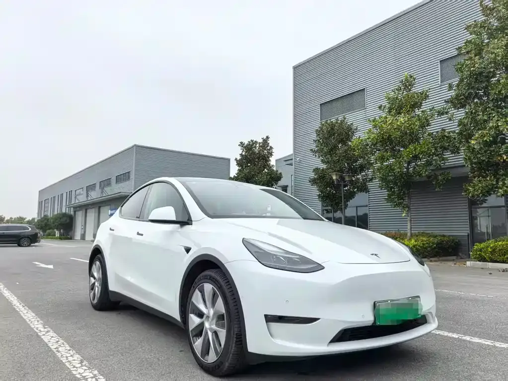 Tesla Model Y — фото 3