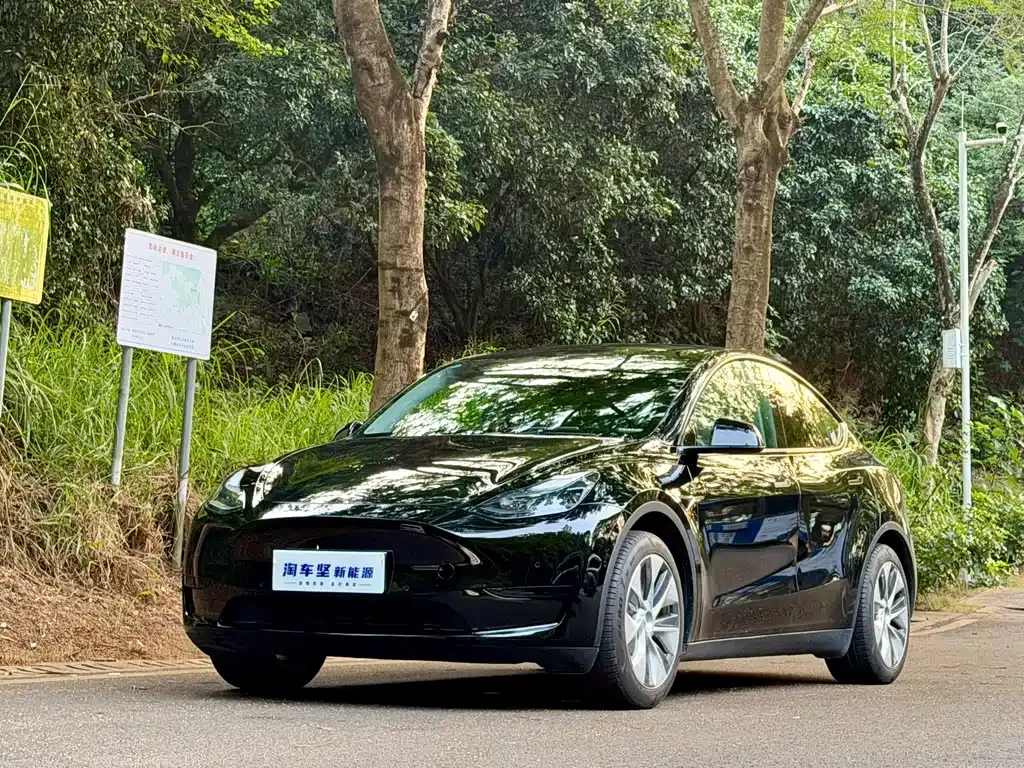Tesla Model Y — фото 1