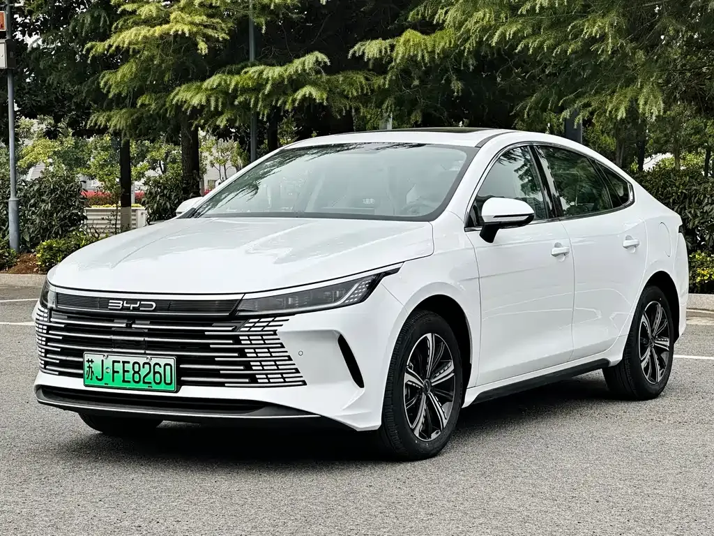 BYD Destroyer 05 — фото 1