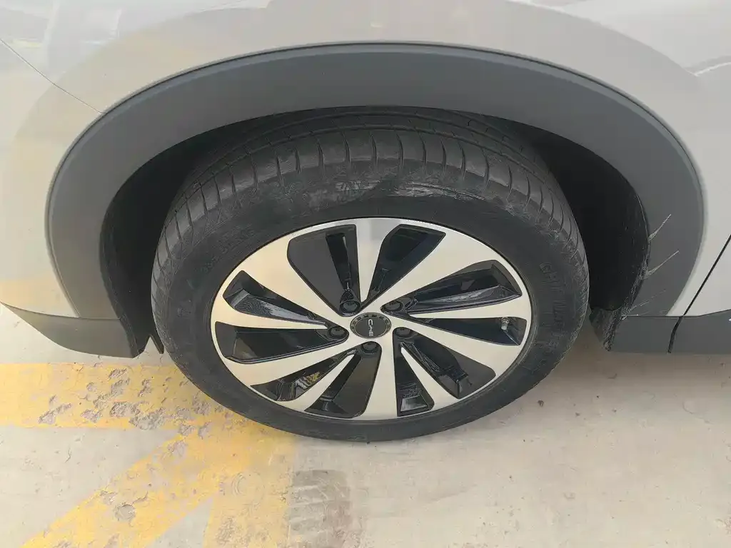 BYD PLUS New Energy — фото 4