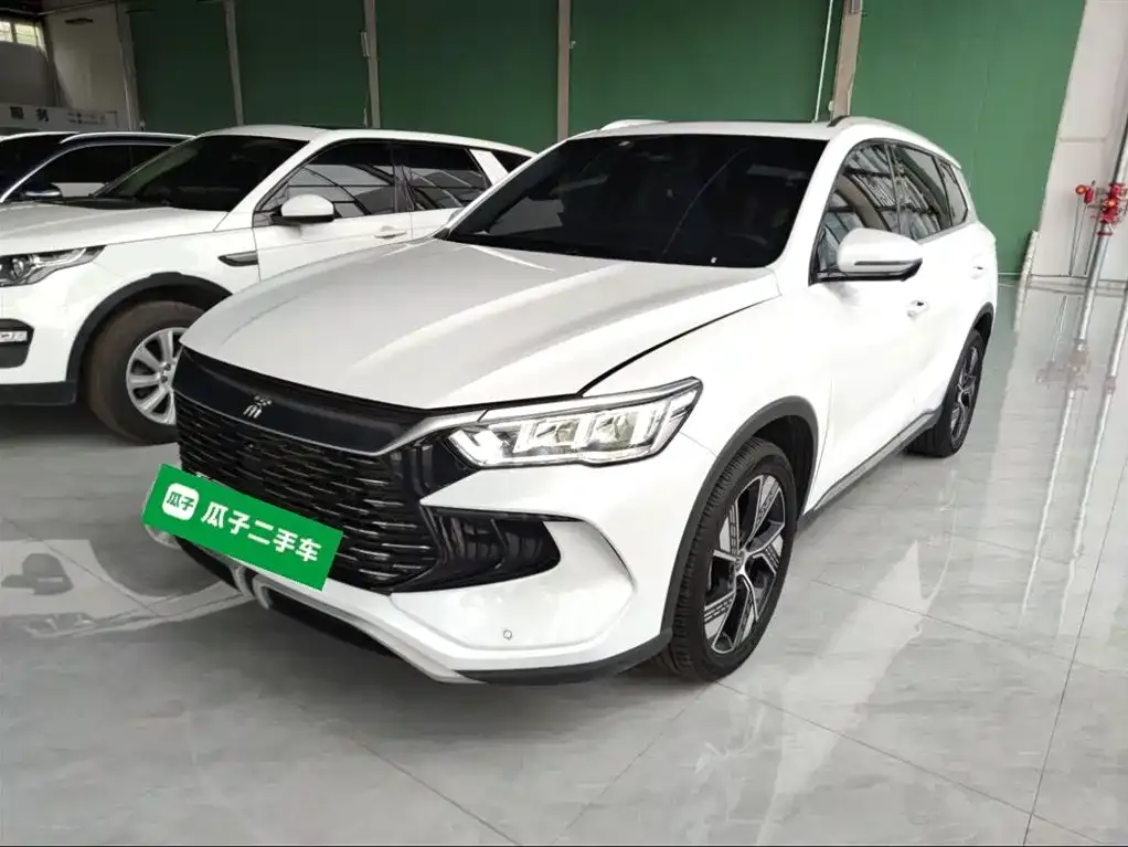 BYD Pro New Energy — фото 2