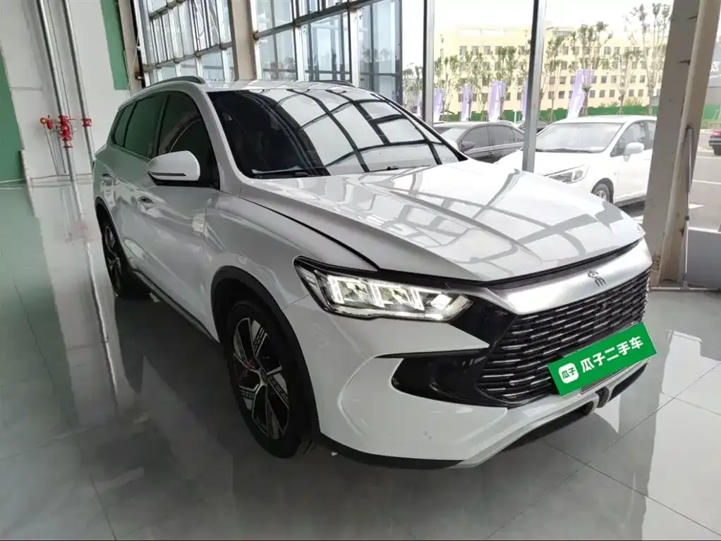 BYD Pro New Energy — фото 4