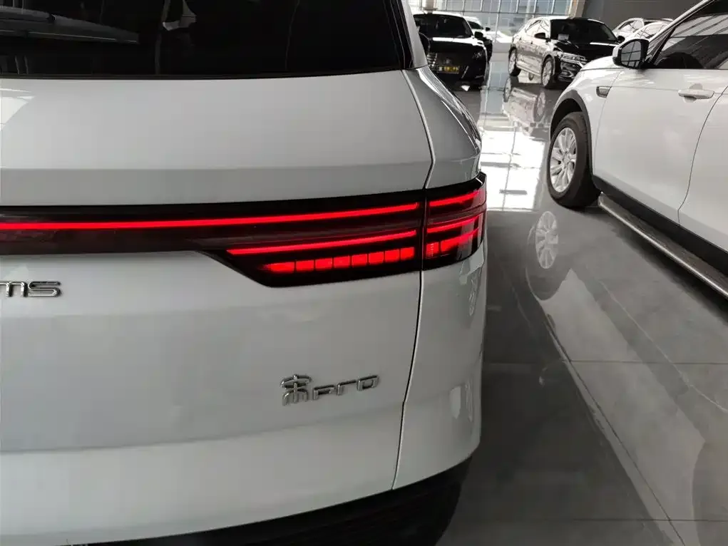 BYD Pro New Energy — фото 8