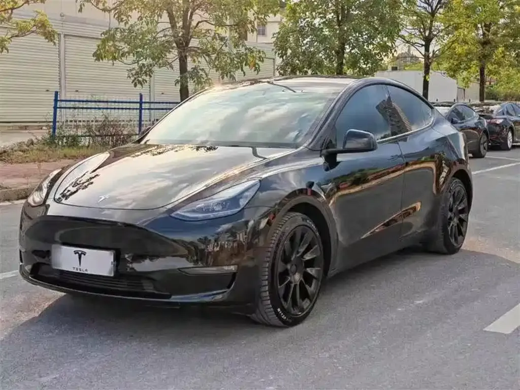 Tesla Model Y — фото 2