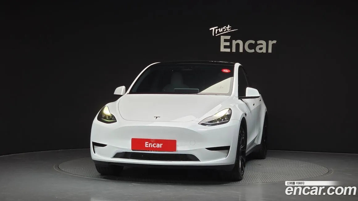 Tesla Model Y — фото 3