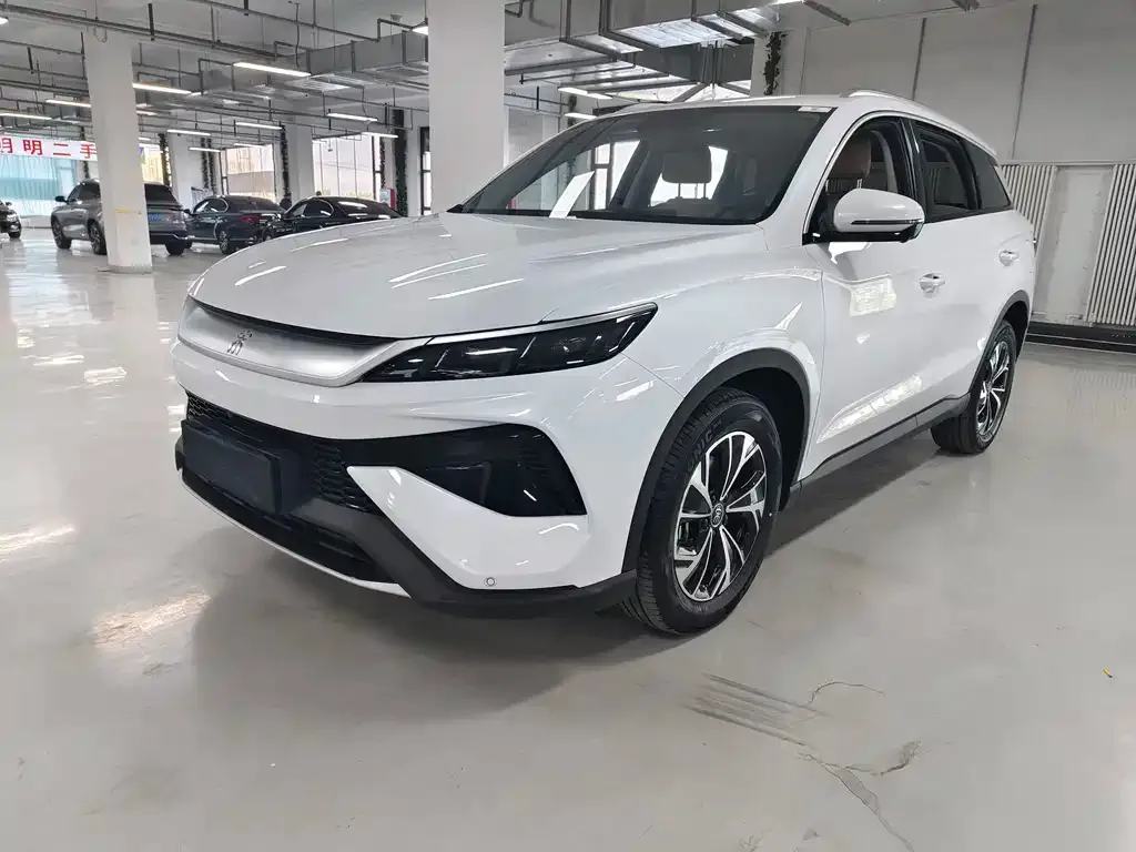 BYD Pro New Energy — фото 1