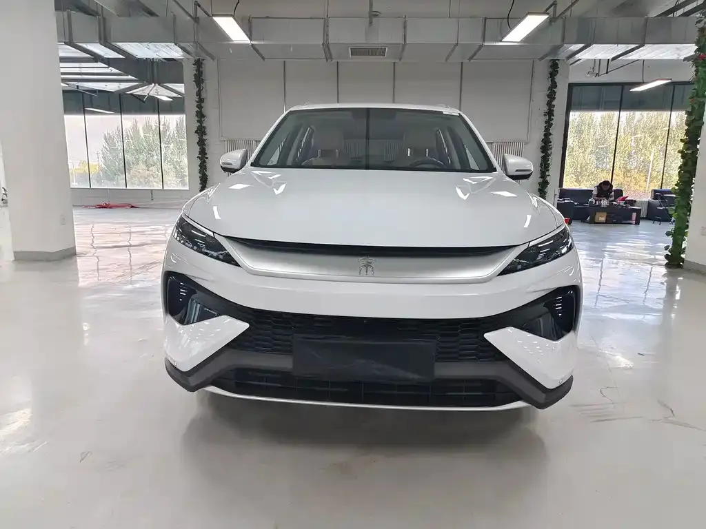 BYD Pro New Energy — фото 2