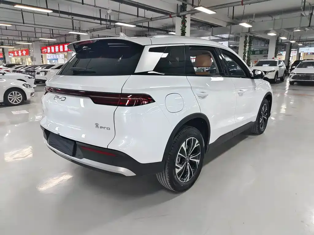 BYD Pro New Energy — фото 4