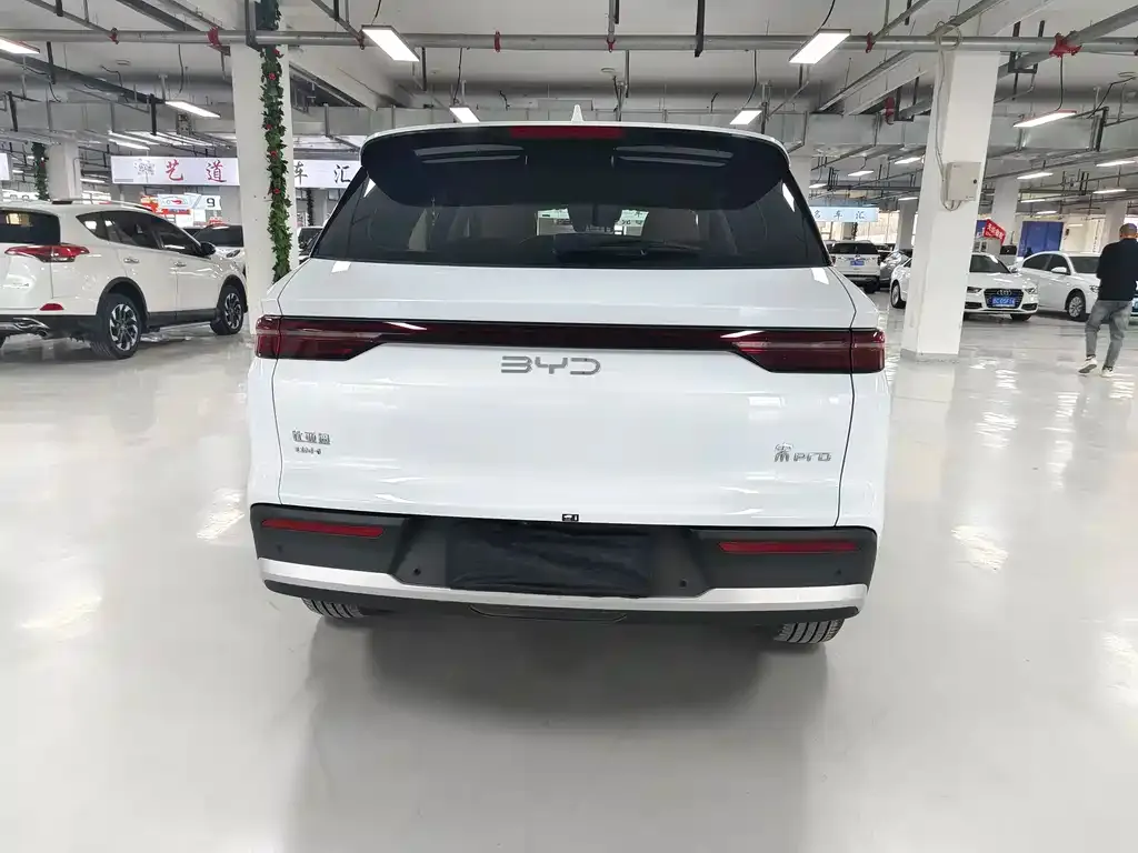 BYD Pro New Energy — фото 5