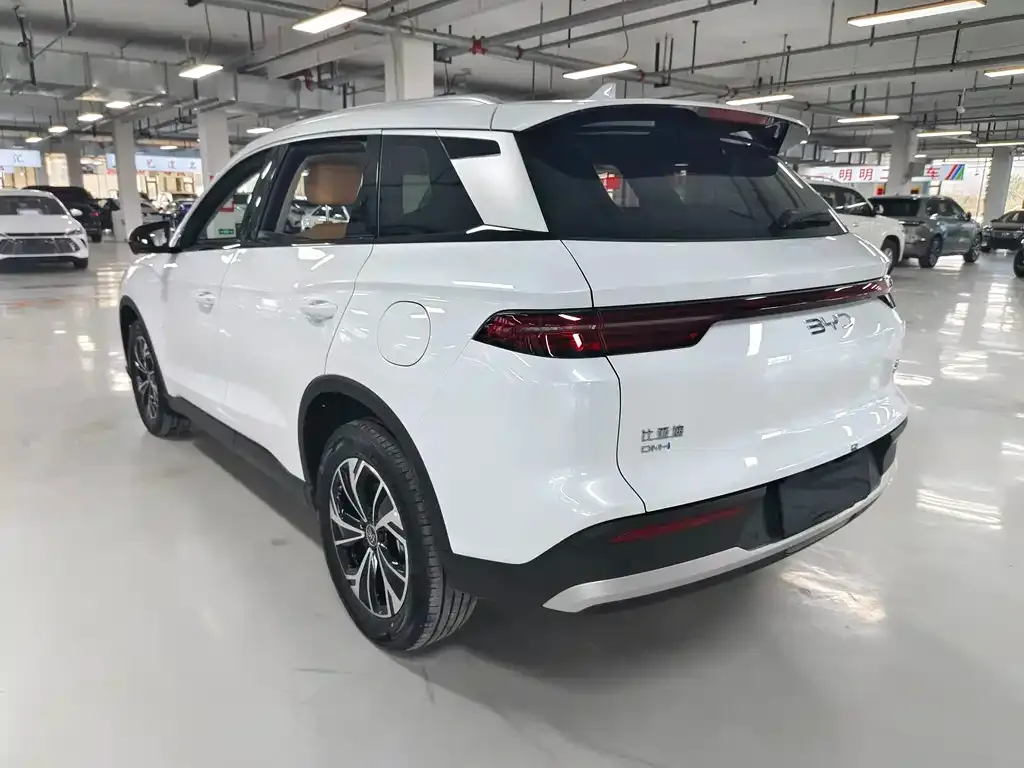 BYD Pro New Energy — фото 6