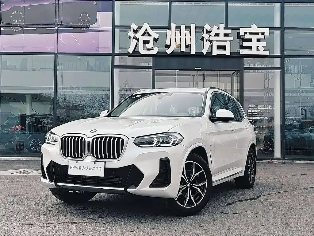 BMW X3 — фото 1