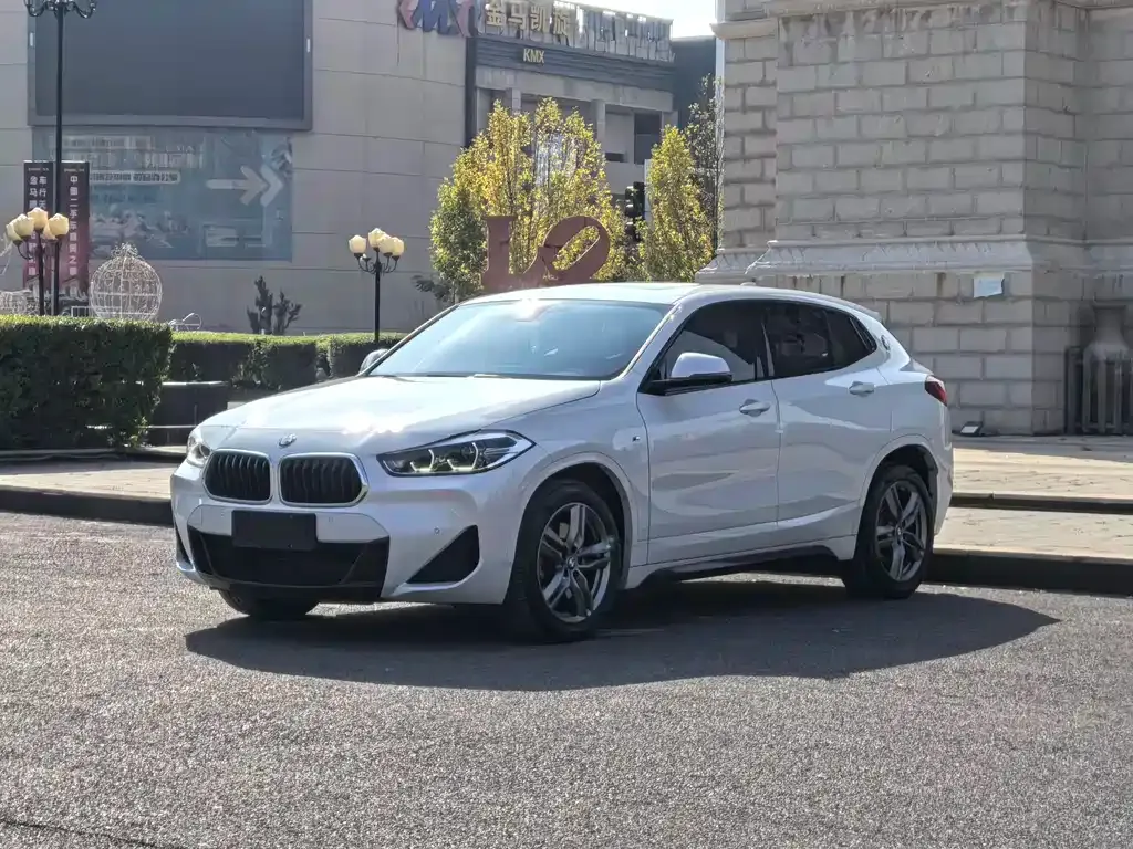 BMW X2 — фото 1