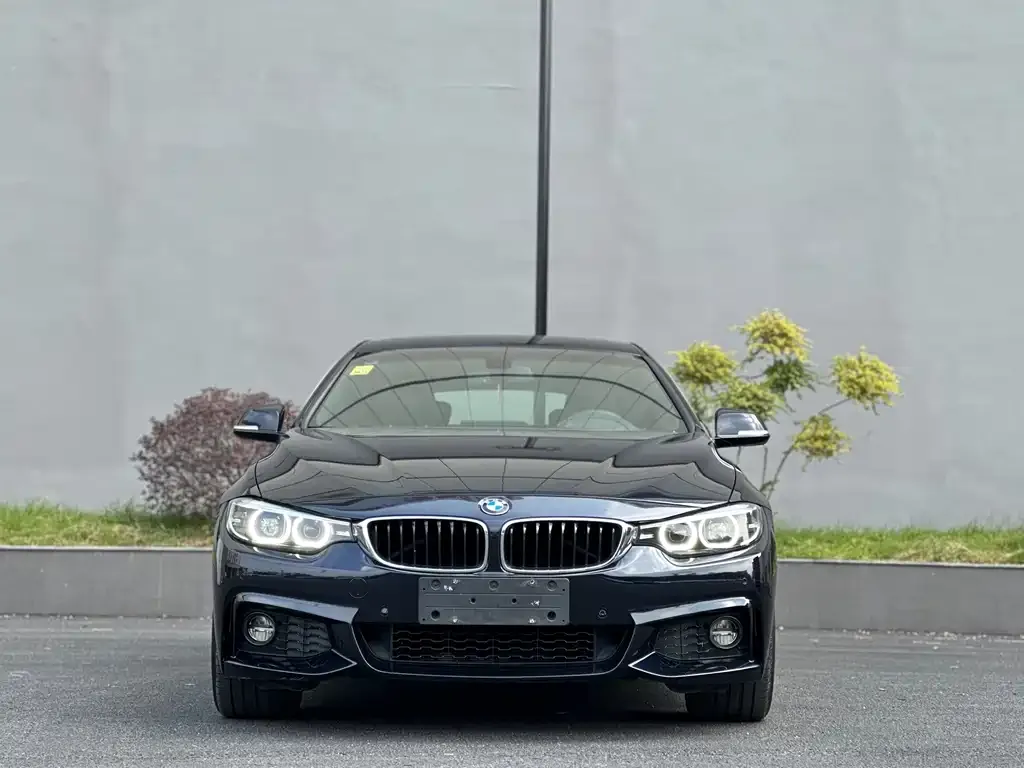BMW 4 Series — фото 2