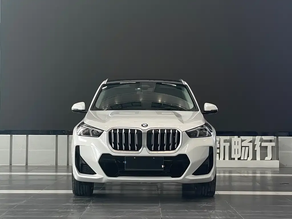 BMW X1 — фото 2