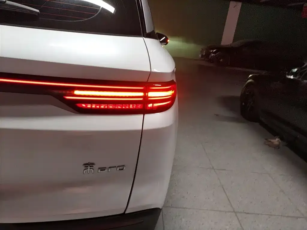 BYD Pro New Energy — фото 8