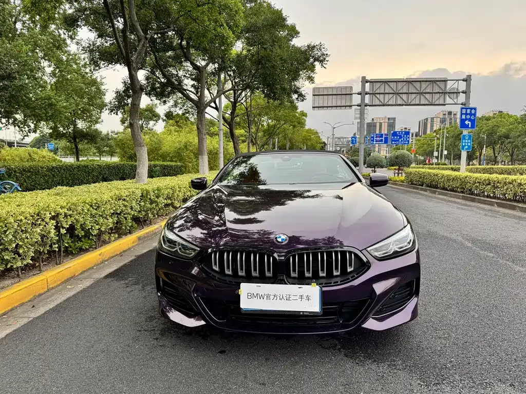 BMW 8 Series — фото 2