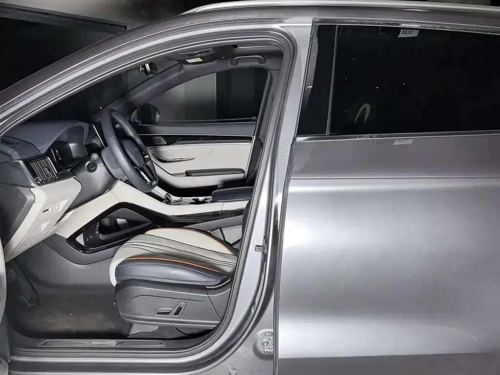 BYD PLUS New Energy — фото 10