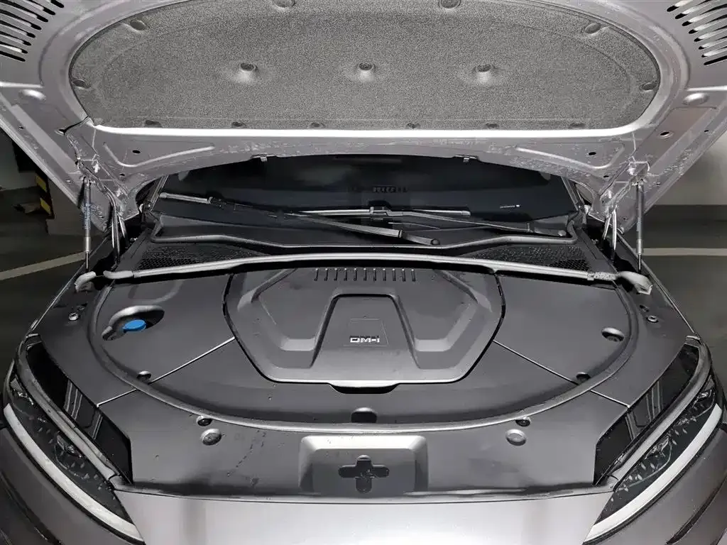 BYD PLUS New Energy — фото 6