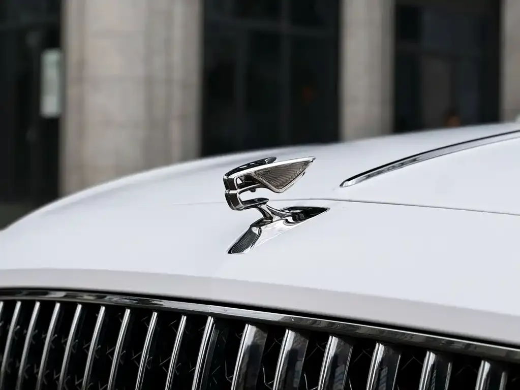 Bentley Flying Spur — фото 9