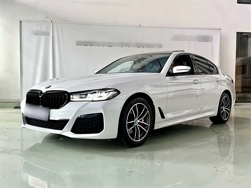BMW 5 Series (Import) — фото 2