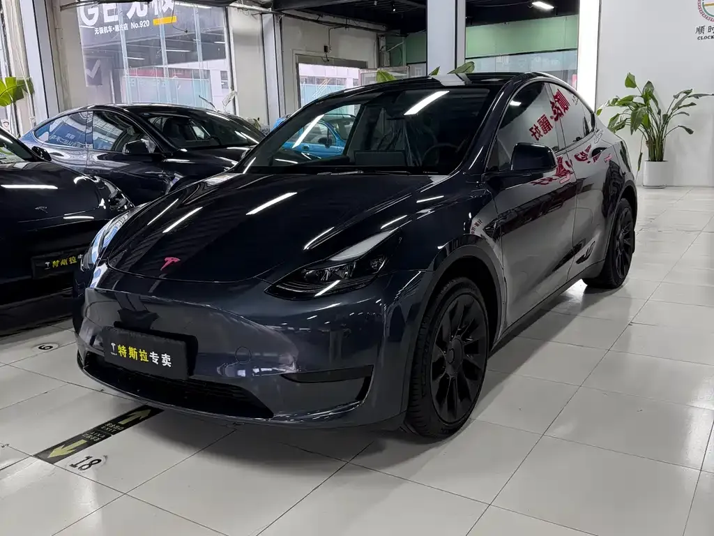 Tesla Model Y — фото 1
