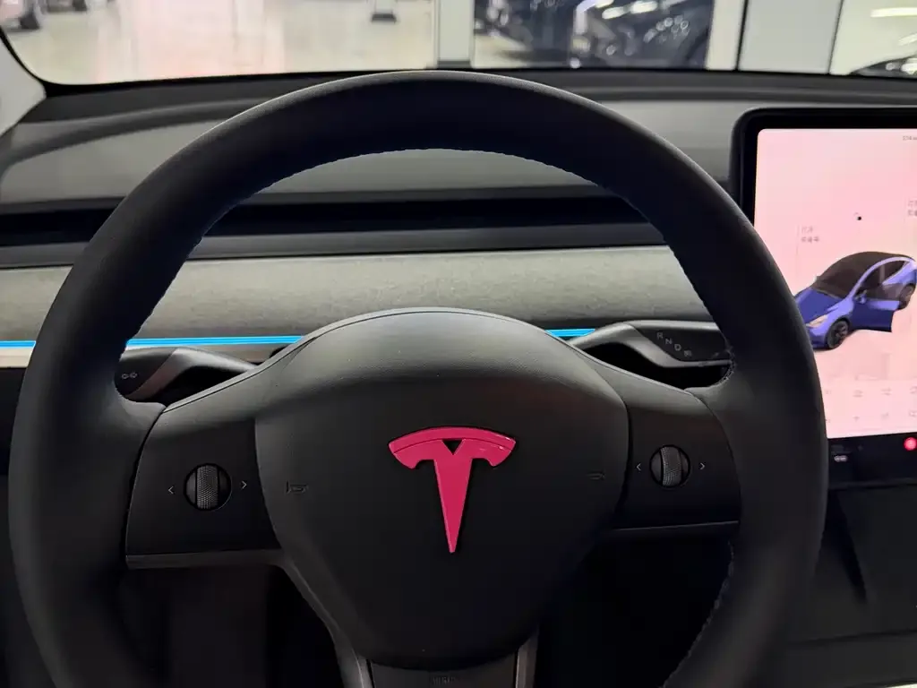 Tesla Model Y — фото 10
