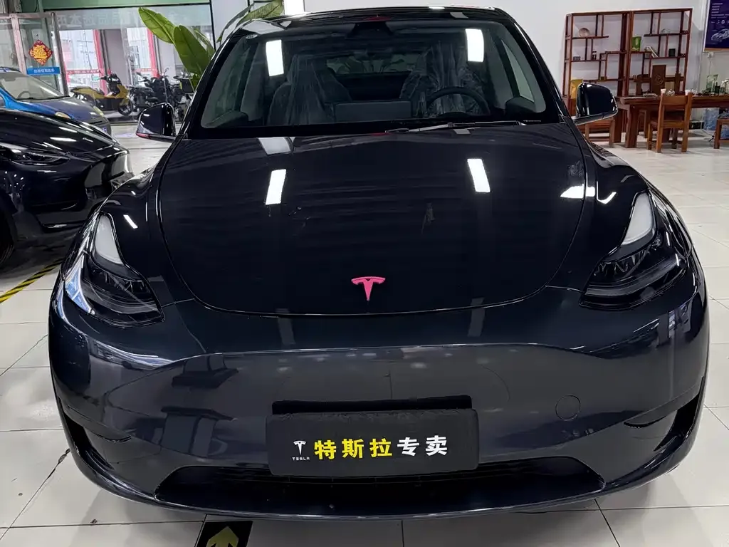 Tesla Model Y — фото 2