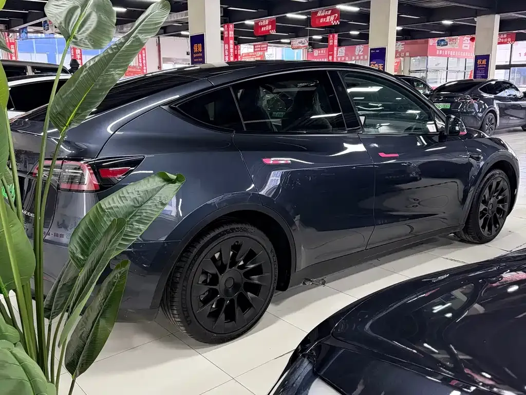 Tesla Model Y — фото 6