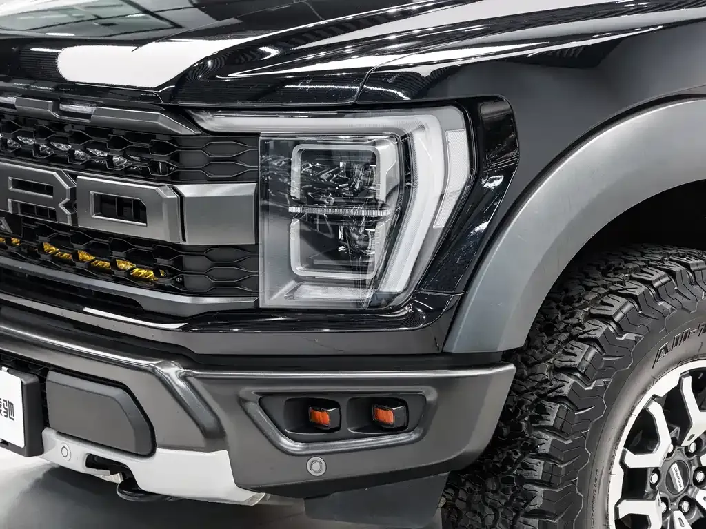 Ford F-150 Raptor — фото 8