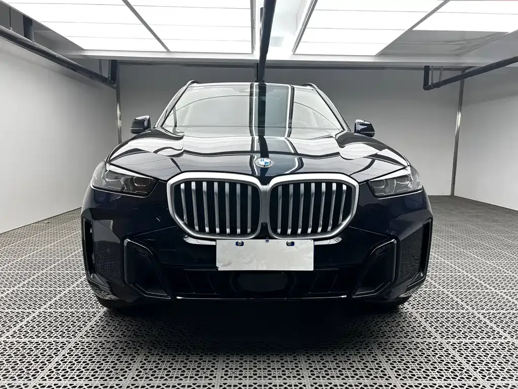 BMW X5 — фото 4