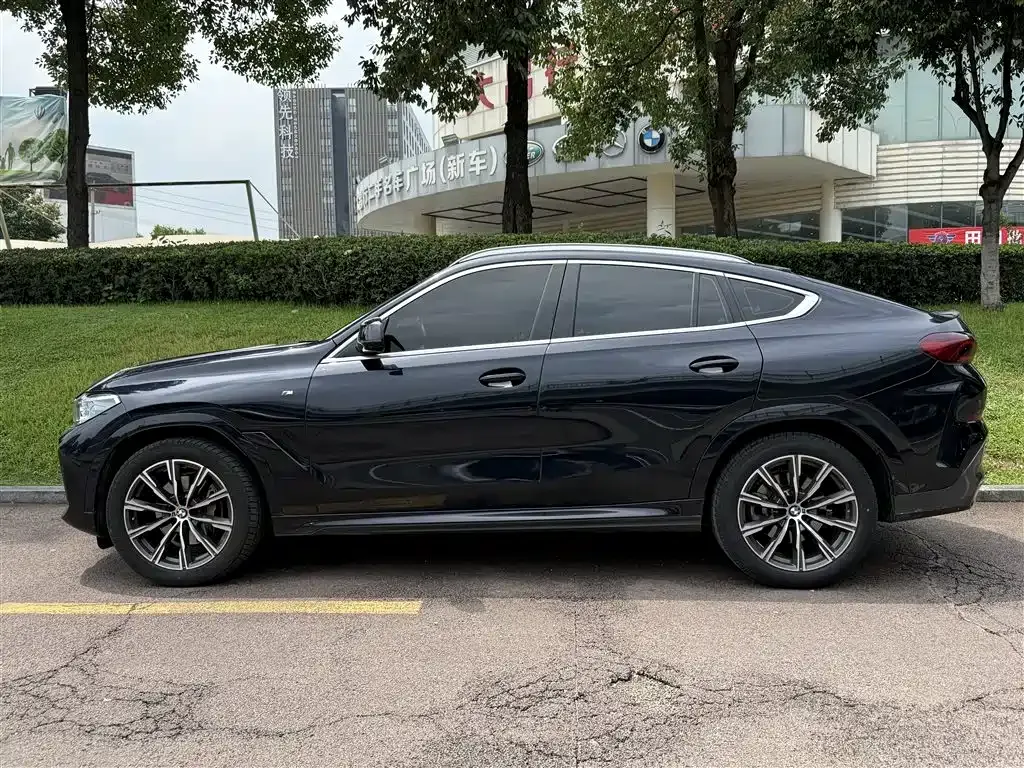BMW X6 — фото 3
