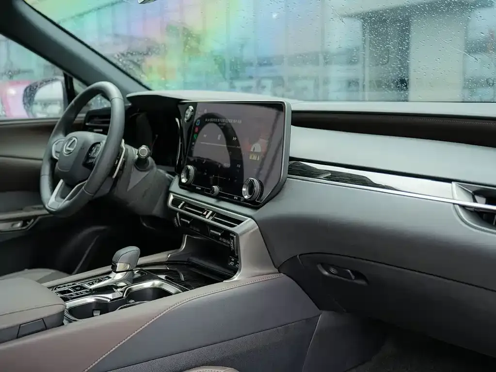 Lexus RX New Energy — фото 10