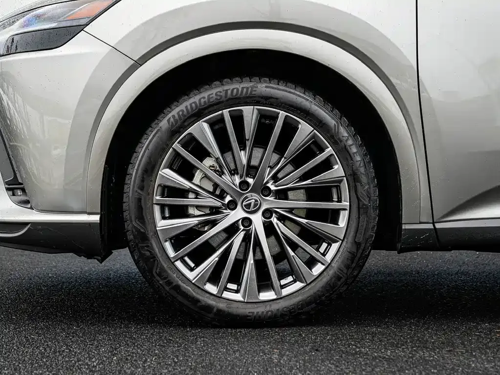 Lexus RX New Energy — фото 8