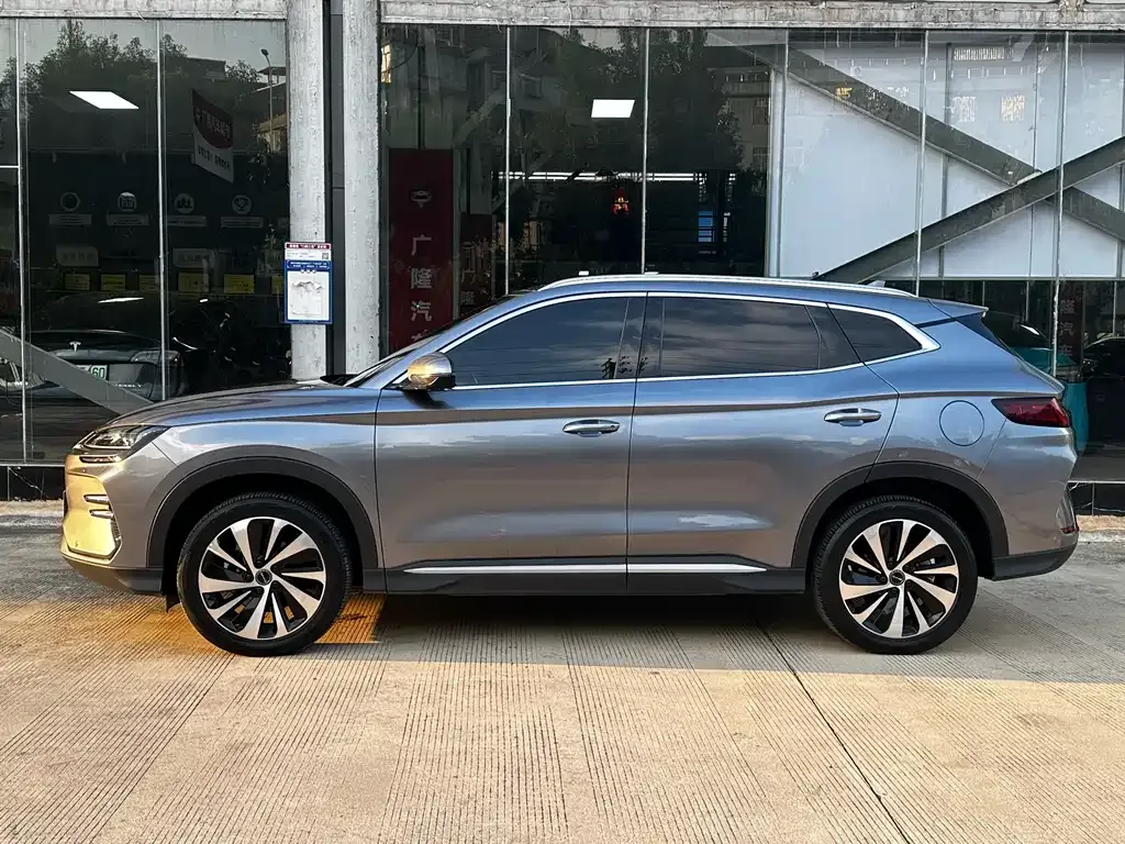 BYD PLUS New Energy — фото 4