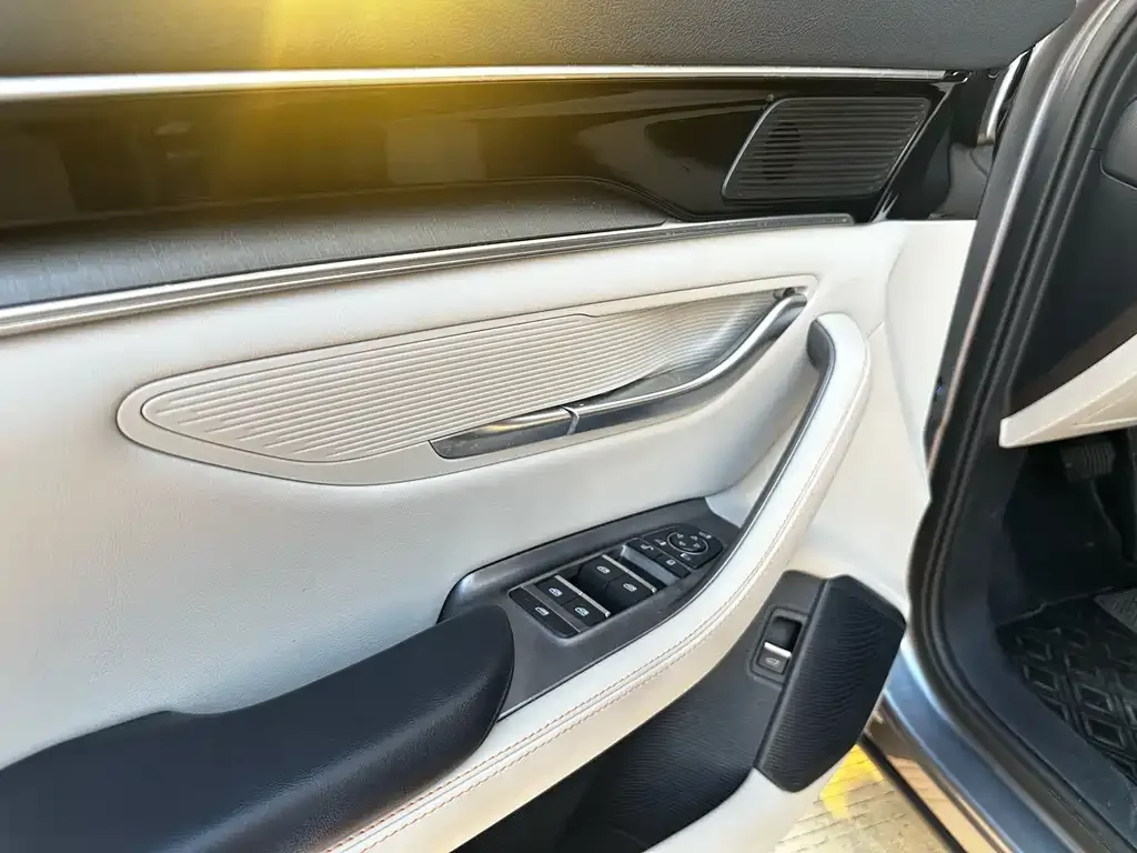 BYD PLUS New Energy — фото 9