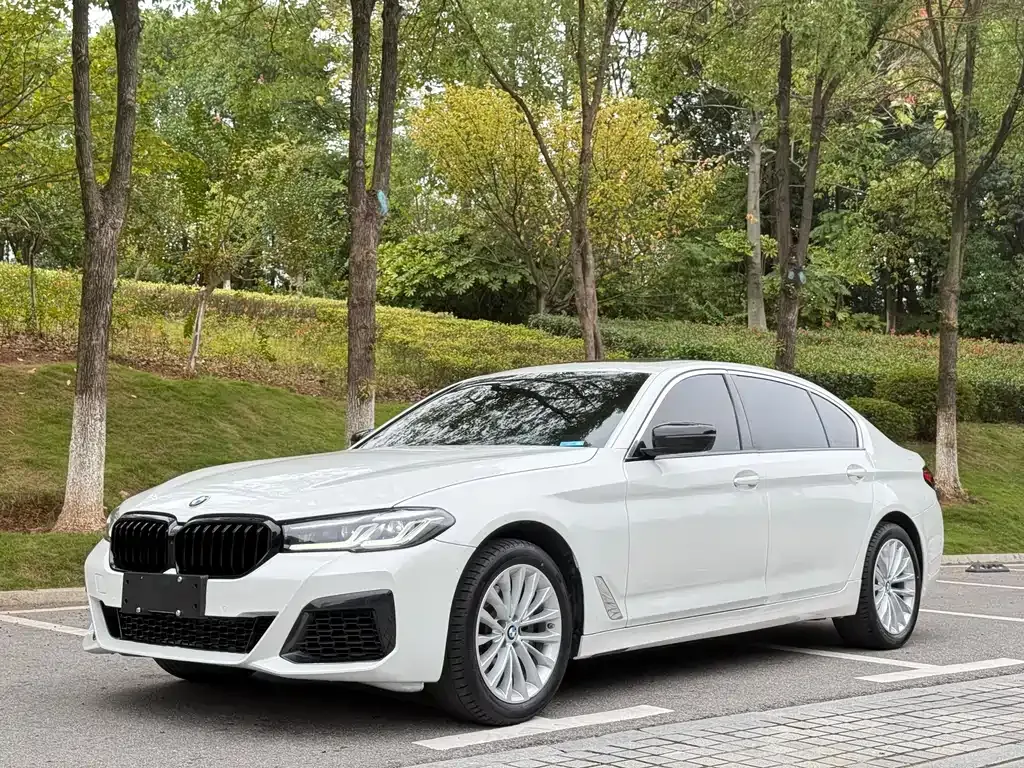 BMW 5 Series — фото 1