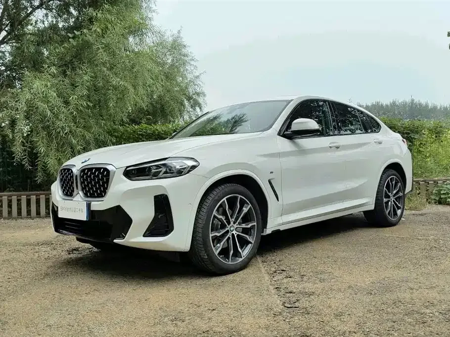 BMW X4 — фото 1