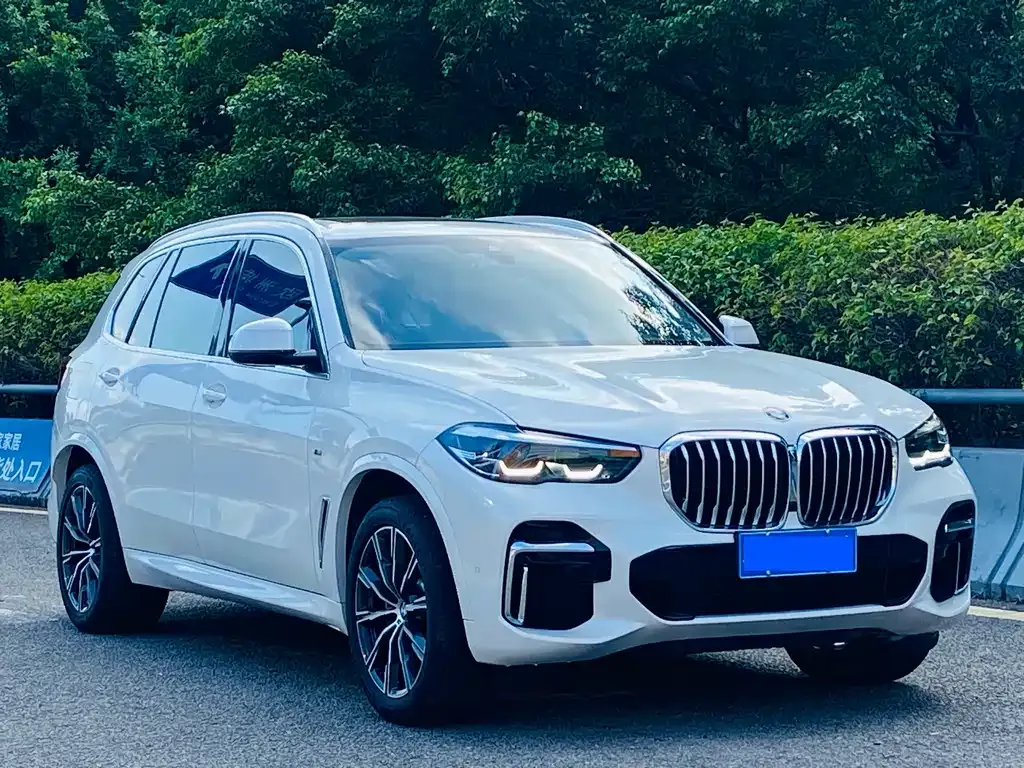 BMW X5 — фото 3