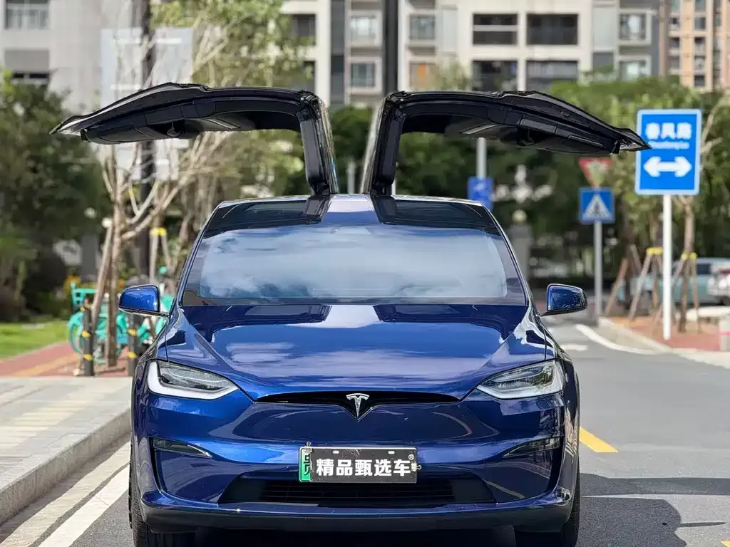 Tesla Model X — фото 2