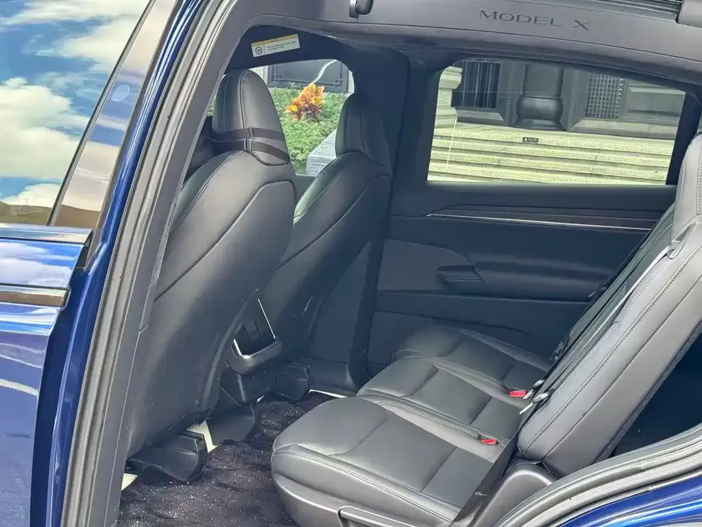 Tesla Model X — фото 6