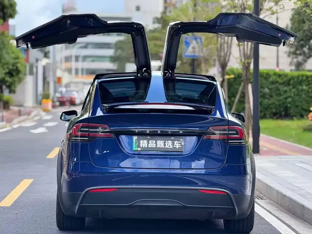 Tesla Model X — фото 8