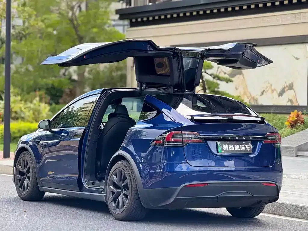 Tesla Model X — фото 9
