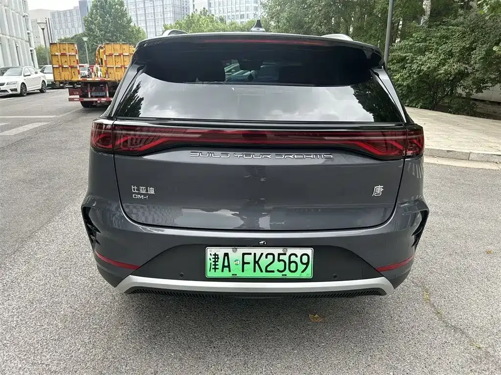 BYD Tang New Energy — фото 4