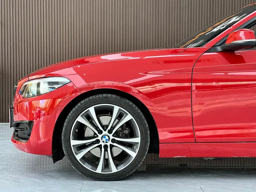 BMW 2 Series (Import) — фото 6