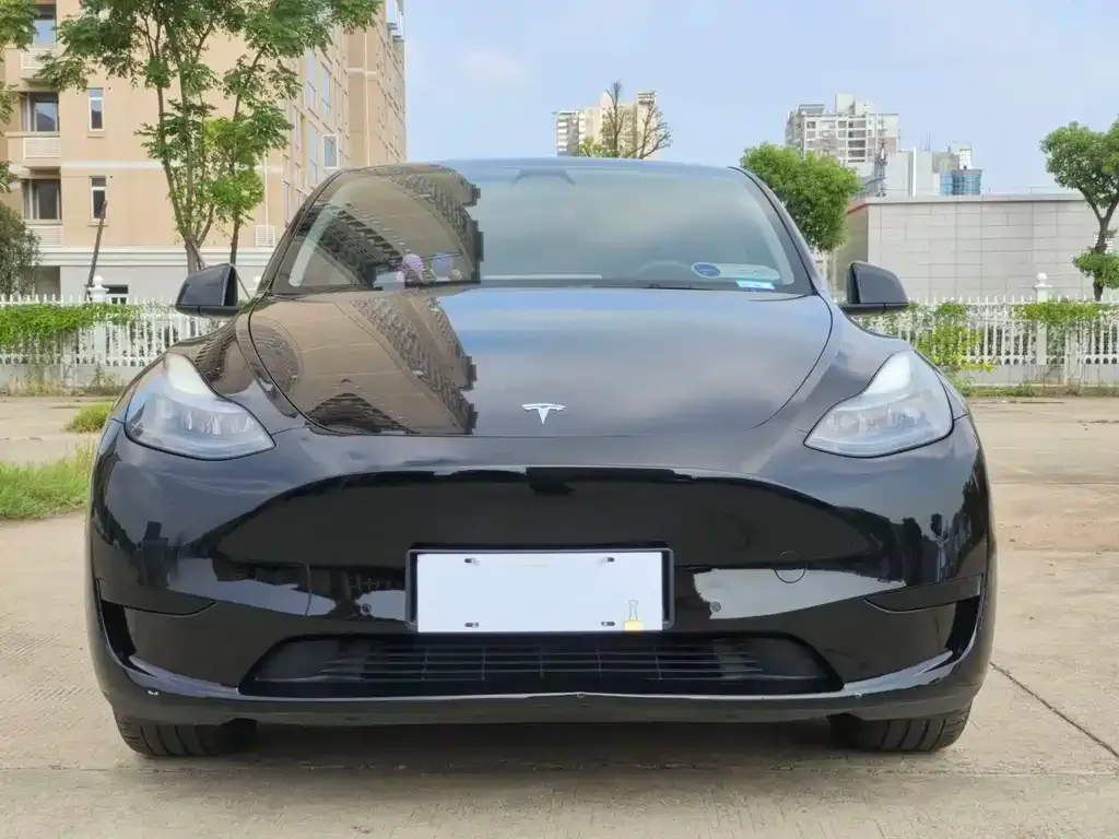 Tesla Model Y — фото 2
